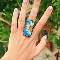 Vera Ring