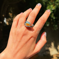 Nova Ring