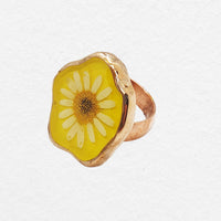 Alta Ring