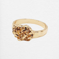 Ollie Ring