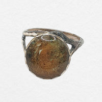 Fossil Coral Ring
