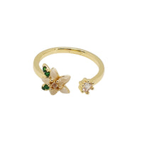 Aix Ring