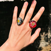 Yim Ring