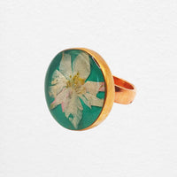 Lilla Ring