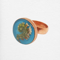 Koi Ring