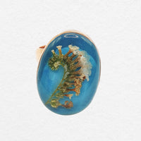 Sibiu Ring