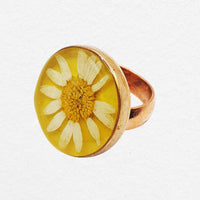 Eze Ring