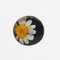 Puglia Ring