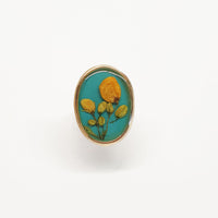 Mexico Ring