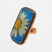 Vera Ring