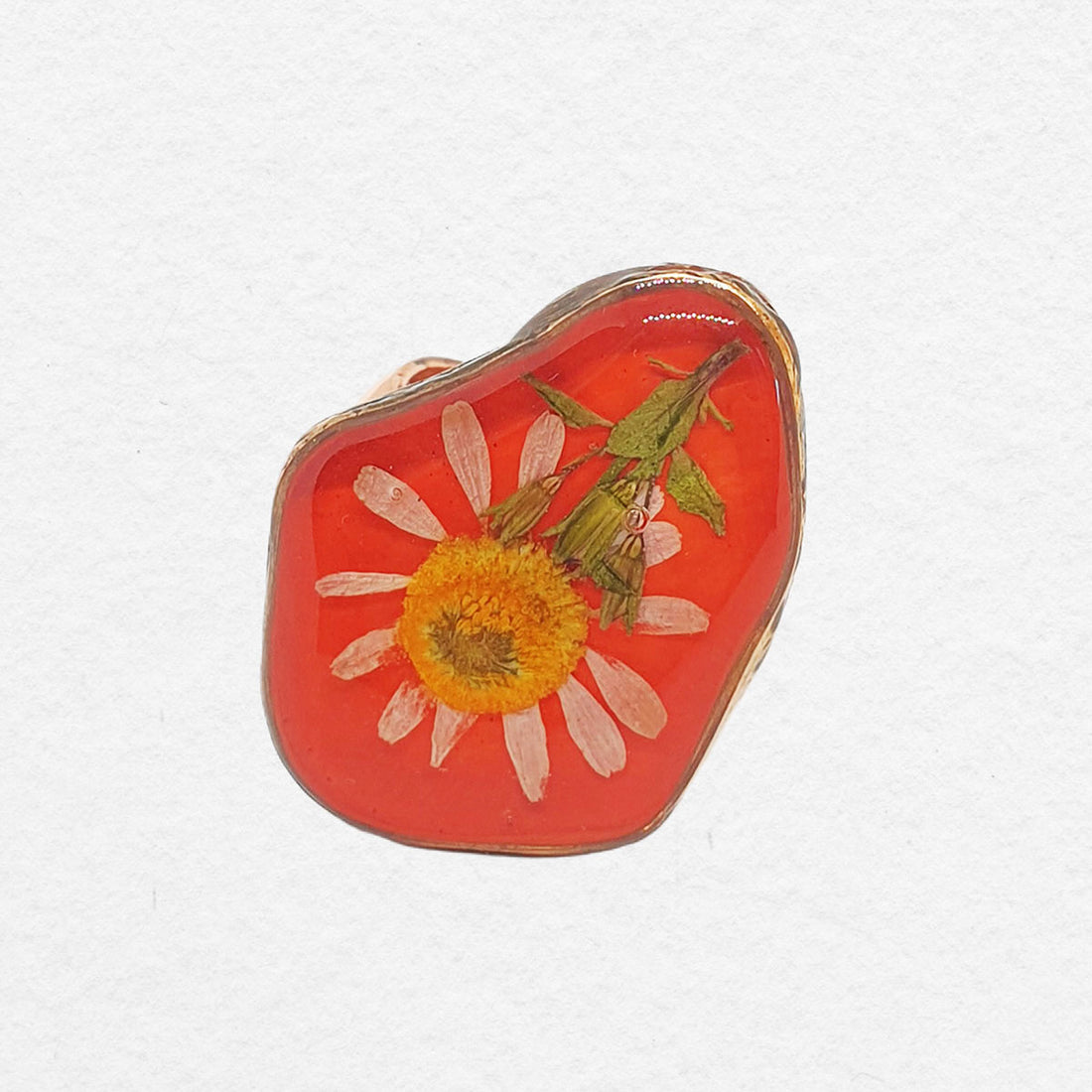 Oranje Ring