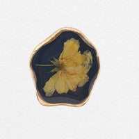 Nova Ring