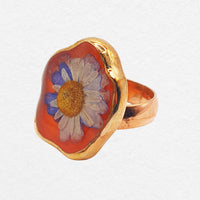 Oly Ring