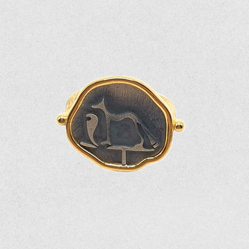Golden Relic Ring