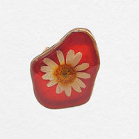 Oranje Ring
