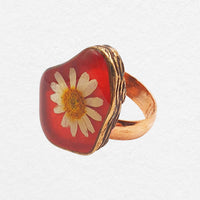 Oranje Ring