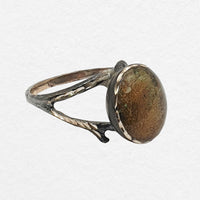 Fossil Coral Ring