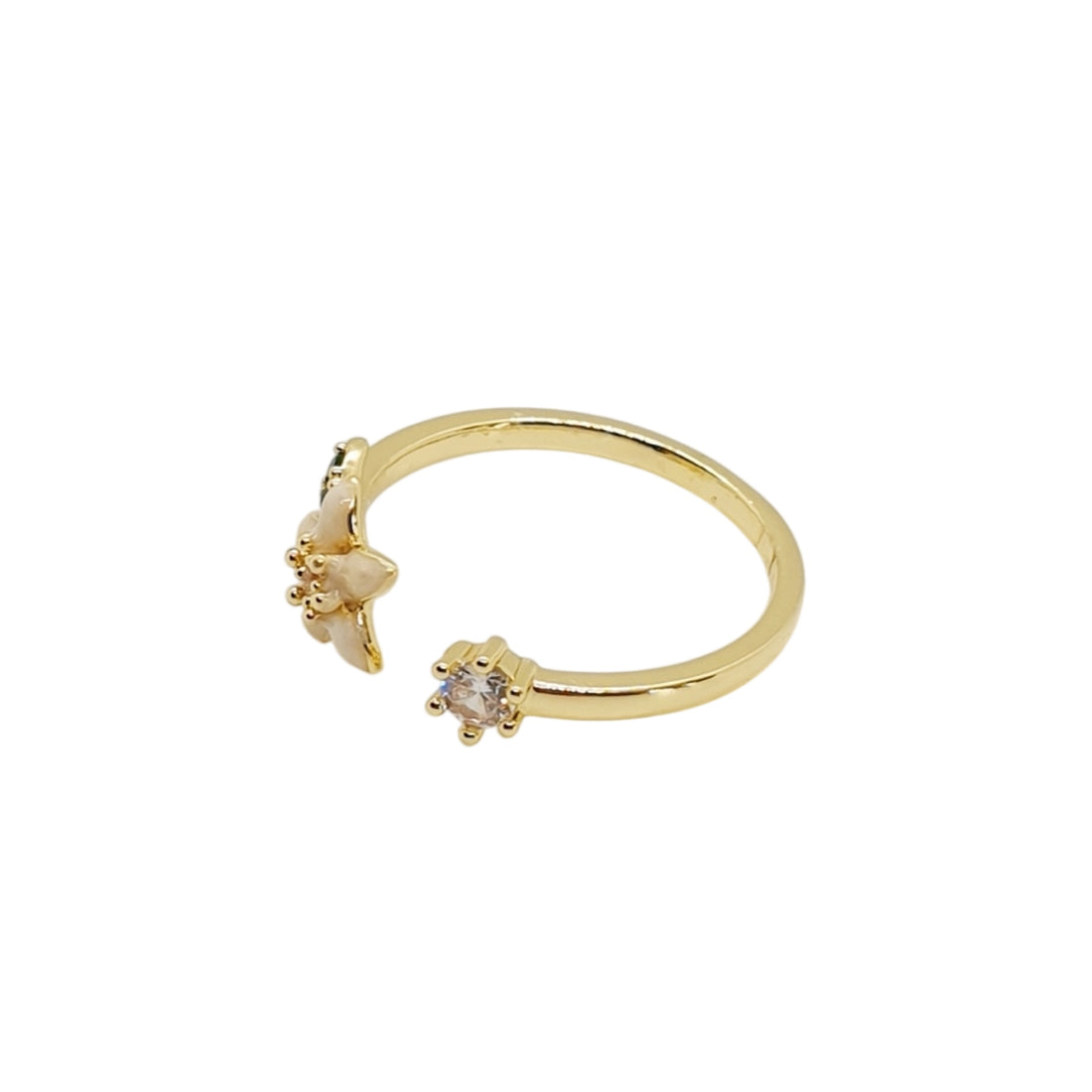 Aix Ring