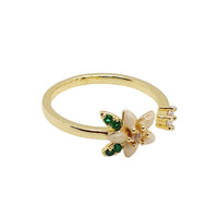 Aix Ring