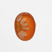 Aruna Ring