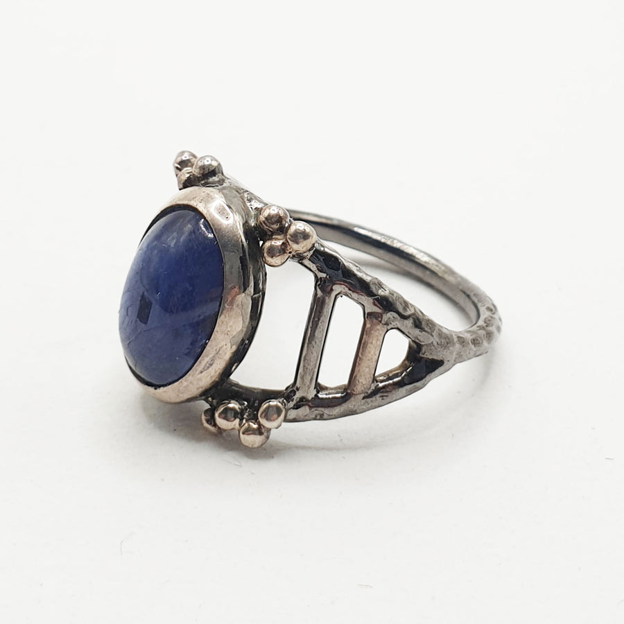 Terra Ring