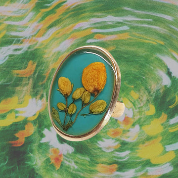 Mexico Ring