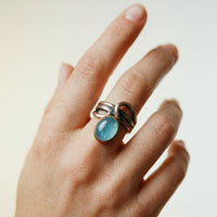 Levin Ring