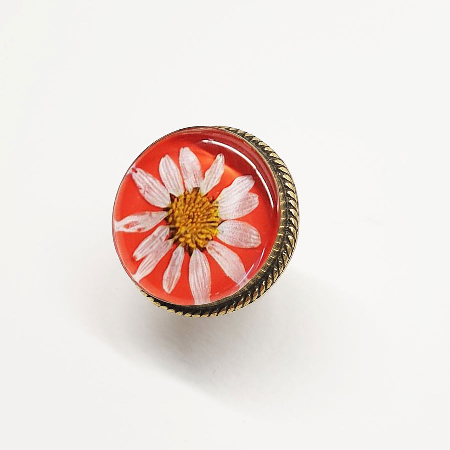 Oranje Ring