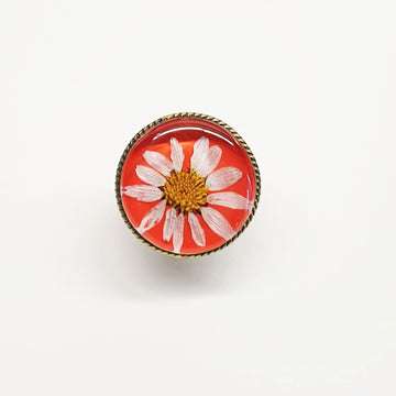 Oranje Ring