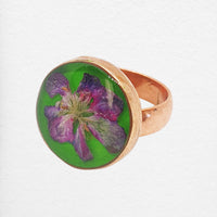 Auli Ring