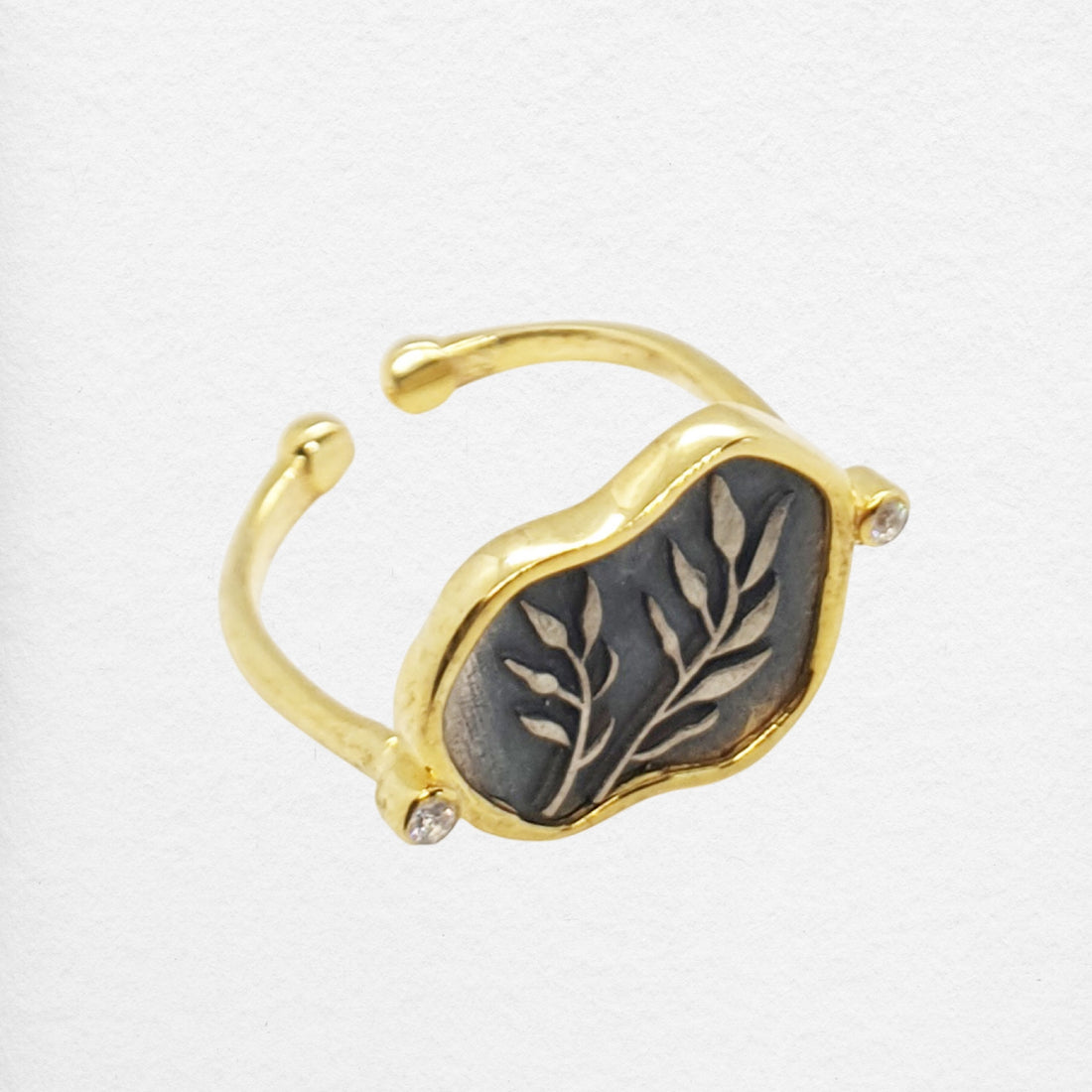 Outi Ring