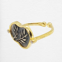 Outi Ring