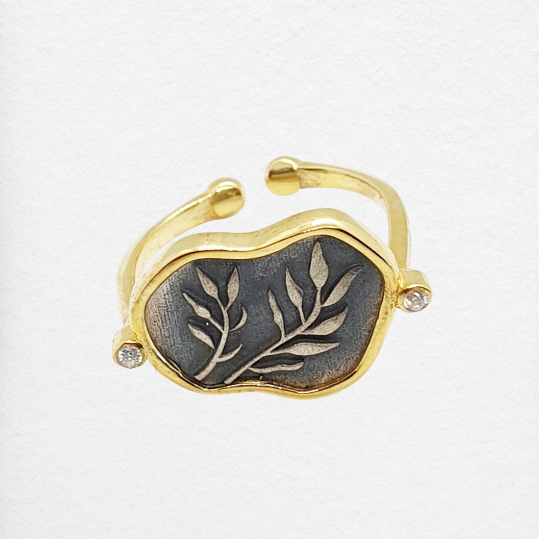 Outi Ring