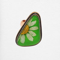 Chom Ring