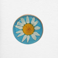 Mare Ring