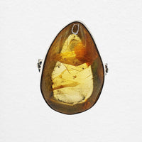 Amber Ring