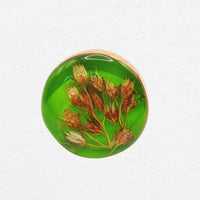 Cassis Ring