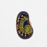 Hare Ring
