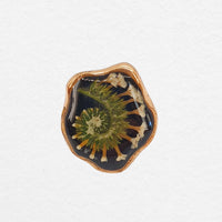 Aven Ring