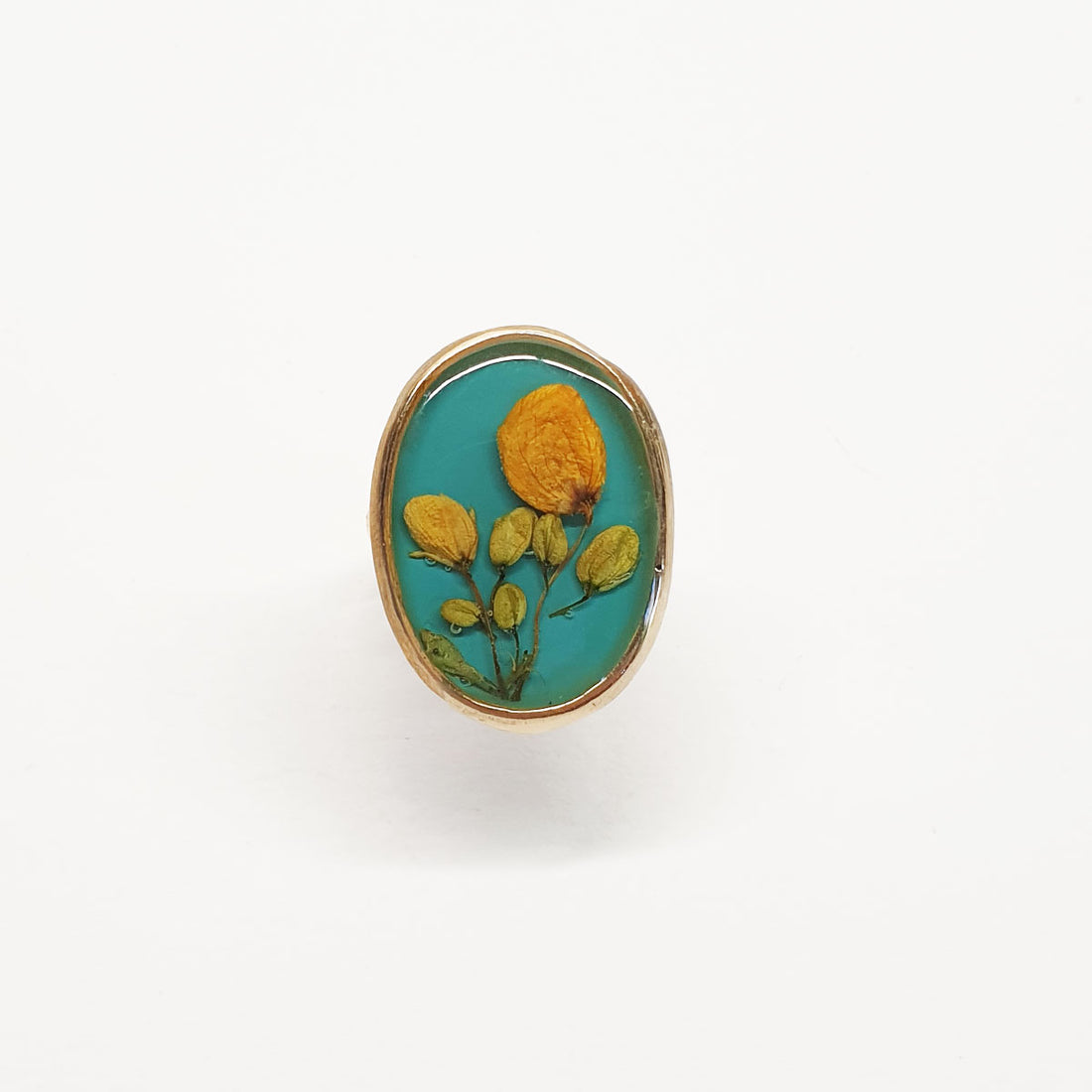 Mexico Ring