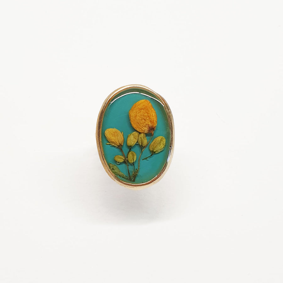 Mexico Ring