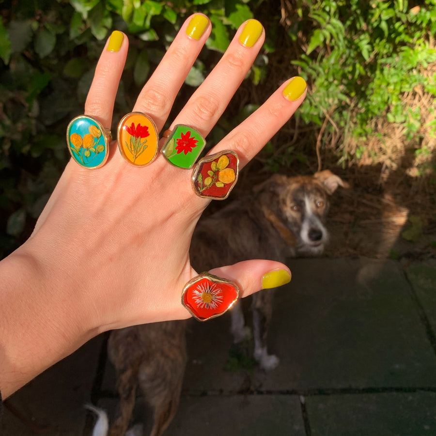 Mexico Ring