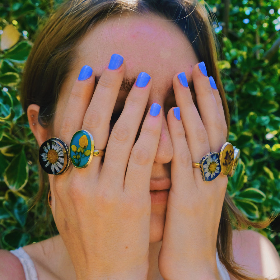 Mexico Ring