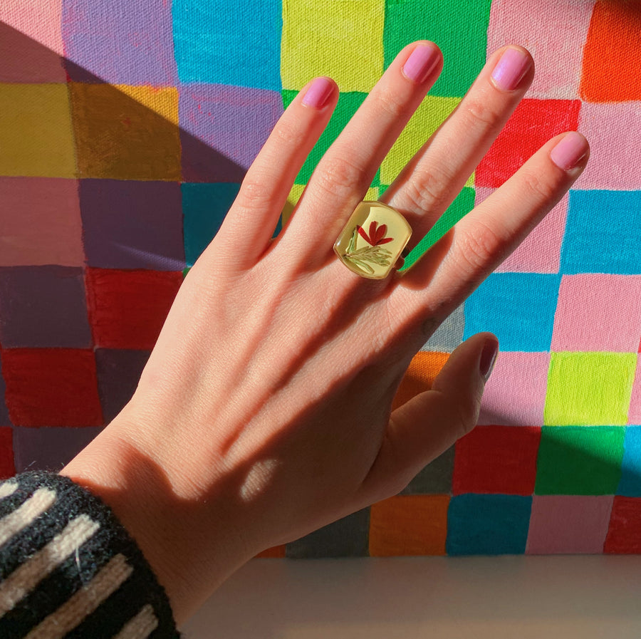 Salsa Ring