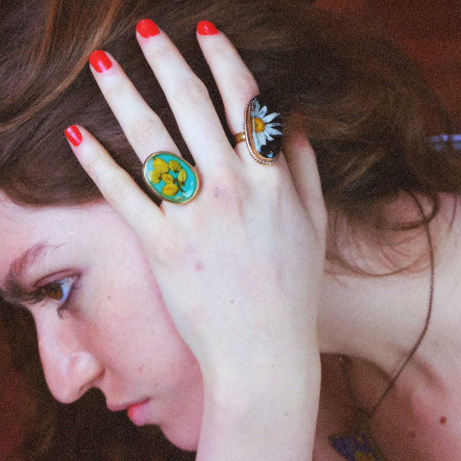 Mexico Ring