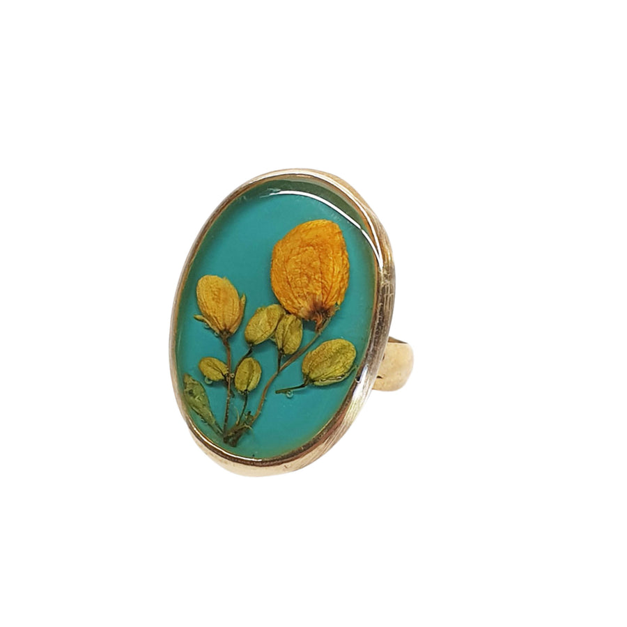 Mexico Ring